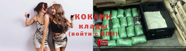 мяу мяу мука Горняк