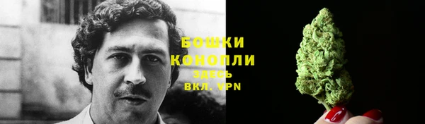 mdpv Горно-Алтайск