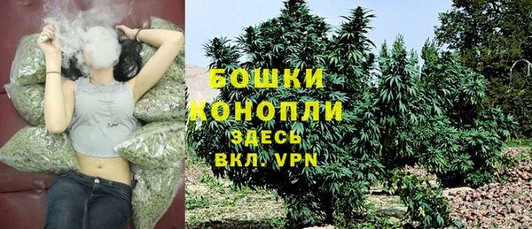 мяу мяу мука Горняк