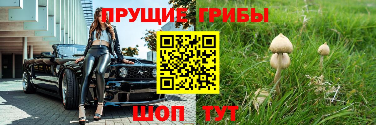Псилоцибиновые грибы GOLDEN TEACHER Балашиха